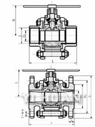 duangangsanpianshiyingmifengqiufa-3.jpg